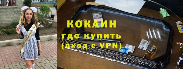 твердый Козловка