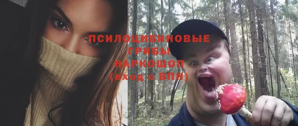 твердый Козловка